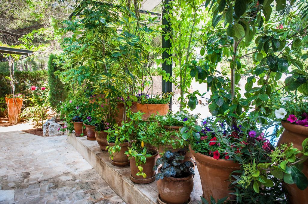 Appartement Minigolf Cala Murada (Mallorca)